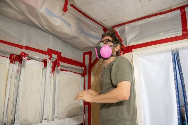 Best Environmental Consulting for Mold Prevention  in Buchanan, MI