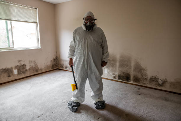 Best Commercial Mold Inspection  in Buchanan, MI